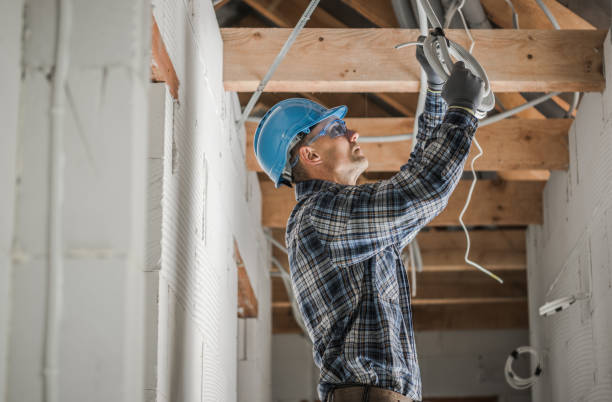 Best Electrical System Inspection  in Boles Acres, NM