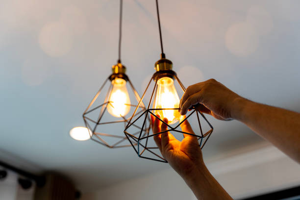 Best Affordable Electrician  in Boles Acres, NM