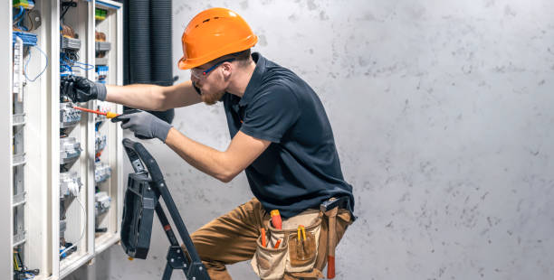 Best Electric Panel Repair  in Boles Acres, NM
